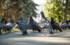 В Нижнем Новгороде площадь Советскую благоустроят в 2022 году
