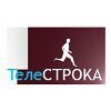 TeleSTROKA