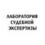 Лаборатория Судебных Экспертиз