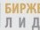 Биржевой лидер