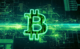 TVK Capital отзывы: комфортные инвестиции с брокером