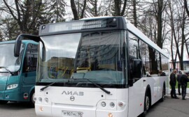 В Нижнем Новгороде на маршруты вышли новые муниципальные автобусы