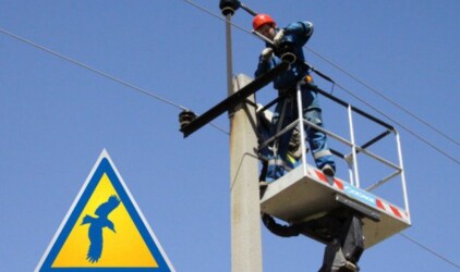 Нижновэнерго установил больше 4000 устройств для защиты пернатых от электричества в 2017 году