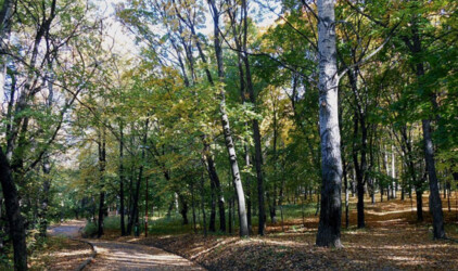 В Нижнем Новгороде проект благоустройства парка «Швейцария» разработают за 210 млн рублей