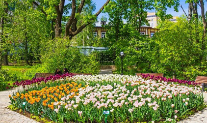 В Нижнем Новгороде 50 млн рублей потратят на благоустройство Почаинского бульвара