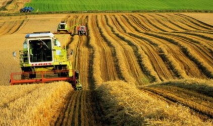 Аграриям Нижегородской области могут увеличить финансирование