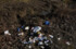 В Нижнем Новгороде убрали 144 несанкционированных свалок