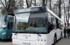 В Нижнем Новгороде на маршруты вышли новые муниципальные автобусы