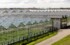 В нижегородских АПК лидируют крупные хозяйства