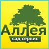 Продавец консультант