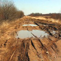 На строительство сельских дорог Нижегородской области выделят 0,5 млрд рублей