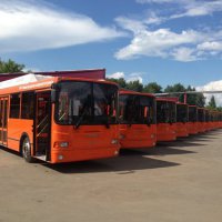 Правительство Нижегородской области выделит больше 800 млн рублей для закупки 150 автобусов&#8205;