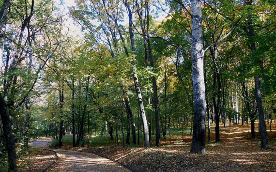 В Нижнем Новгороде проект благоустройства парка «Швейцария» разработают за 210 млн рублей