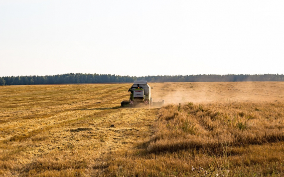 Фермеры Нижегородской области планируют собрать более 1000 тонн зерна
