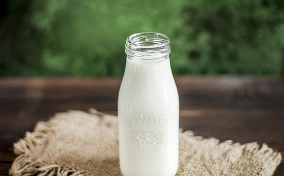В Нижегородской области производство молока выросло на 4%