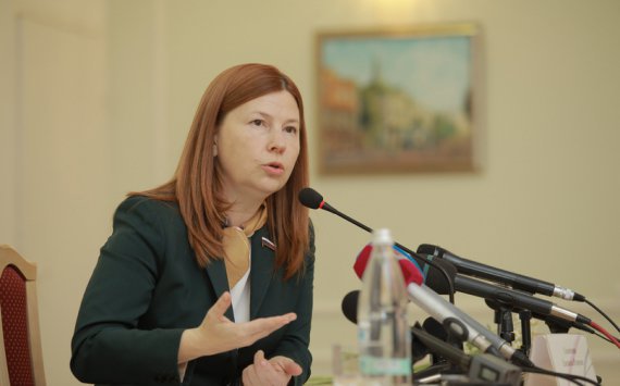 Елизавета Солонченко намерена покинуть пост главы Нижнего Новгорода